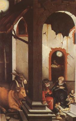 Hans Baldung Grien The Nativity (mk08) France oil painting art